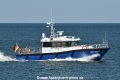Steinbutt HK-100523.jpg