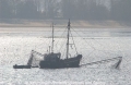 Elbfischer 281003-1.jpg