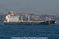 Theodosia (MS-030806-3).jpg