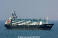 Al Iman 260406-5.jpg