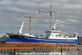 Leinebjoern (WP-190212-4).jpg