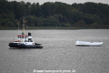 Elbe 071020-02.jpg