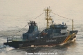 Seeadler (AW-090504-01).jpg