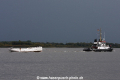 Elbe SW-071020-10.jpg