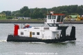 Albatros (JS-020906-05).jpg