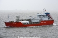 Coral Star OS-101217-07.jpg