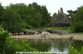 Hagenbeck-02.jpg