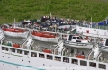 Albatros Detail-19.jpg