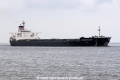 Amazing Salute JG-140914-01.jpg
