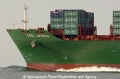 CSCL Africa Bug 24805-3.jpg