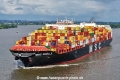 MSC Giselle KH-280725-01.jpg