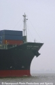 Bug Hanjin Geneva.jpg