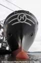 Hanjin-Bug 3408-03.jpg