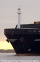 MSC Ilona Bug 81203-1.jpg