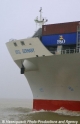 OOCL Germany Bug-2.jpg