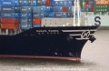 Hanjin Madrid Bug 6703.jpg