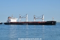 Rostrum Antarctica OS-210625-17.jpg