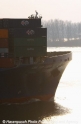 CMA CGM Capella Bug 27204.jpg