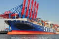 CMA CGM Callisto 070810-24.jpg