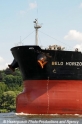 Bulker-Bug 130708.jpg