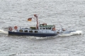 Tuemmler (250504-2).jpg