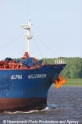 Bulker-Bug SW-130509-01.jpg