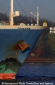 MOL-Bug 271101.jpg