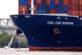 CMA CGM Rossini Bug 11004-2.jpg