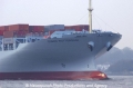 Cosco Rotterdam Bug 17302-1.jpg