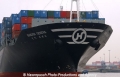 Hanjin Geneva Bug 27702-1.jpg