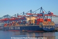 CMA CGM Butterfly (SW-220109-36).jpg