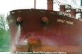 Sibulk Premier Bug 90505-1-MS.jpg