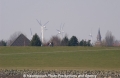 Windpark Dithmarschen 24303.jpg