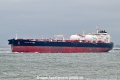 Proteus Harvonne OS-240625-07.jpg