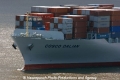 Cosco Dalian Bug 9505.jpg