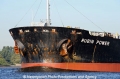 Bulker-Bug 010909-02.jpg