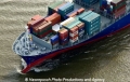 CMA CGM Balzac Bug-2.jpg