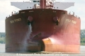 Sibulk Premier Bug 90505-2-MS.jpg