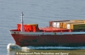 Containerships 5 Bug 30904.jpg