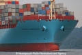 Maersk Semarang Bug MS-13807-1.jpg