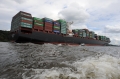 Zim Rotterdam 210810-39.JPG