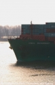 CSCL Shanghai Bug 27204.jpg