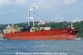 NS Champion (OK-290607-0).jpg