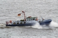Tuemmler (250504-3).jpg