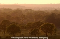 Abendstimmung S-H 27504-2.jpg