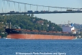 Panamax Giant (OK-300913-1).jpg