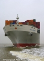 OOCL Germany Bug-04.jpg