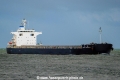 Taho Australia SH-111221-01.jpg
