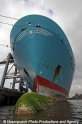 Maersk-ConBug 6408-3.jpg