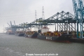 Port of Antwerpen OS-101217-05.JPG